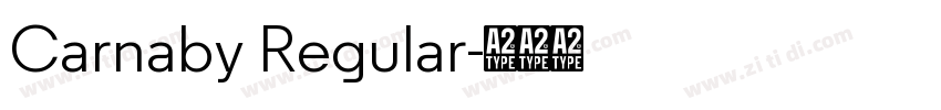 Carnaby Regular字体转换
